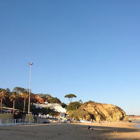 Cip T3 Galeao Albufeira